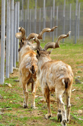 Similar image 21869414