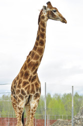 Similar image 21869417