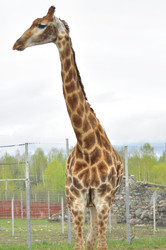 Similar image 21869418