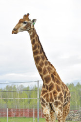 Similar image 21869419