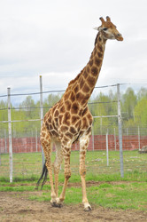 Similar image 21869420