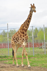 Similar image 21869421