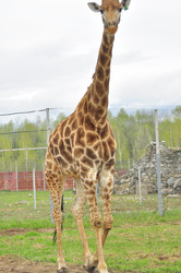 Similar image 21869422