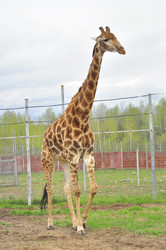 Similar image 21869423