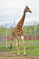 Similar image 21869424