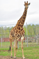 Similar image 21869425