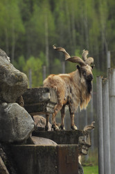 Similar image 21869426