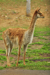 Similar image 21869427