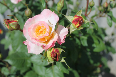 Similar image 21871877