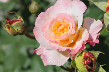 Similar image 21871878