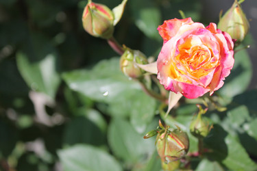 Similar image 21871879