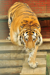 Similar image 21869428