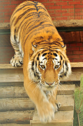 Similar image 21869429