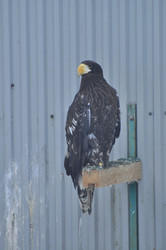 Similar image 21869430