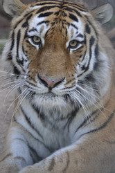 Similar image 21869434