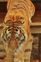 Similar image 21869436