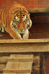 Similar image 21869438