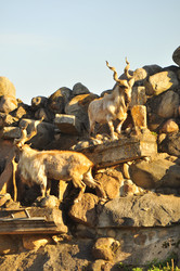 Similar image 21869439