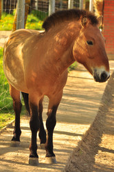 Similar image 21869440