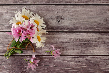 Similar image 21869043