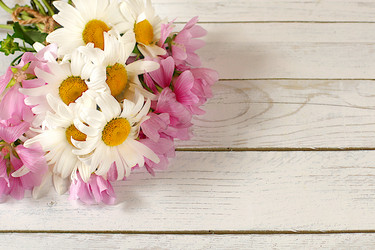 Similar image 21869044