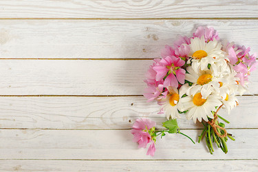 Similar image 21869045