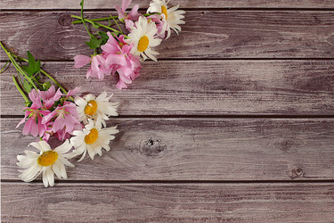 Similar image 21869046