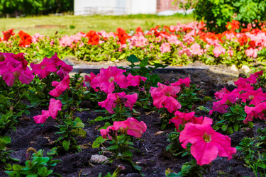 Similar image 21875394