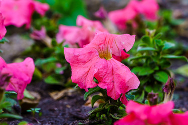 Similar image 21875395