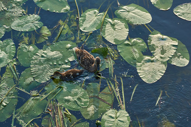 Similar image 21868512