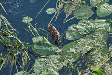 Similar image 21868513