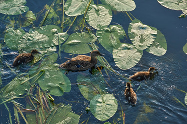 Similar image 21868514