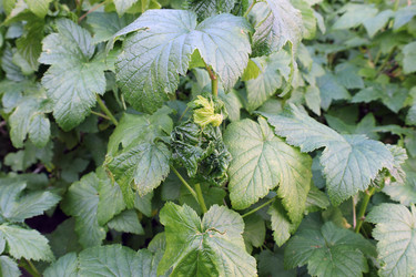 Similar image 21868419