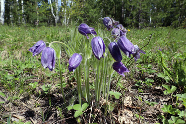 Similar image 21868421