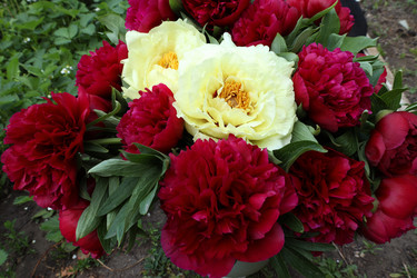 Similar image 21868422