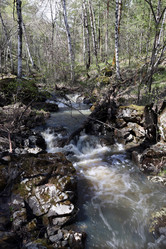 Similar image 21868424