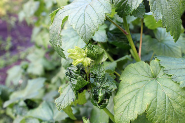 Similar image 21868426