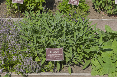 Similar image 21868517