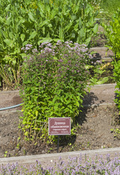 Similar image 21868518