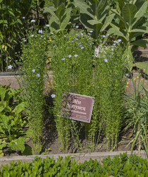 Similar image 21868519