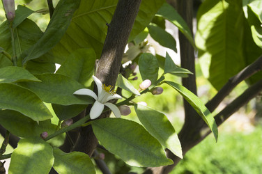 Similar image 21868521