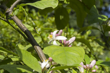 Similar image 21868522