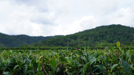 Similar image 21871720