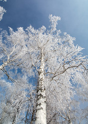 Similar image 21871768