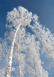 Similar image 21871771