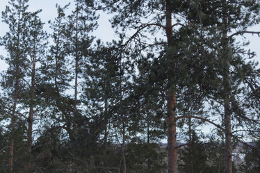 Similar image 21872409