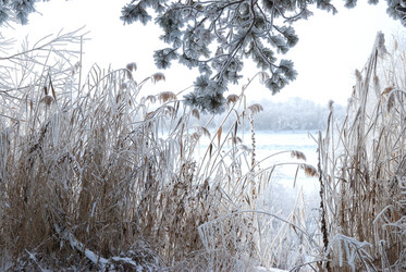 Similar image 21871915