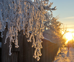 Similar image 21871920