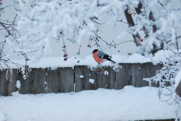 Similar image 21871922