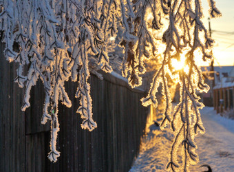 Similar image 21871923